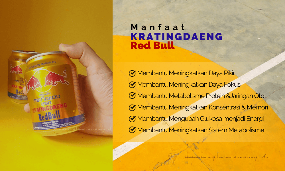 kratingdaeng kaleng manfaat.jpg