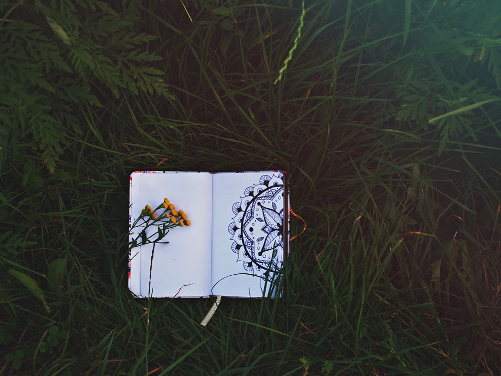 seni-gambar-adalah.jpg